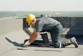 Best Asphalt Shingle Roofing  in Laupahoehoe, HI